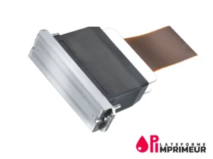 tête d'impression Ricoh modèle Gen5 pour imprimante numérique grand format
